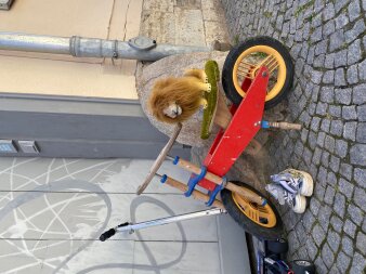 Kinderfahrrad mit einem Plüschlöwen sowie Schuhen und einem Roller vor einem Haus