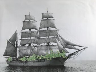 Fotografie eines Schiffes auf See in Schwarz Weiß mit aufgeklebten grünen Pflanzen