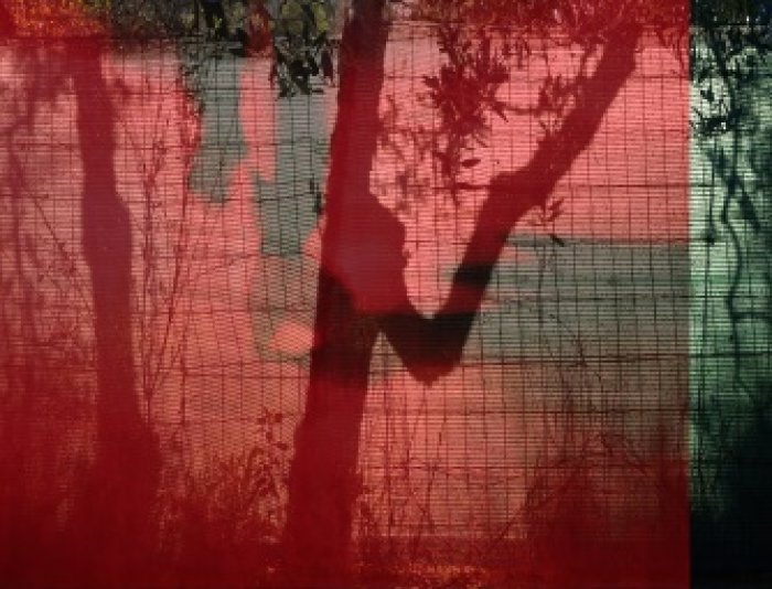 Gudrun Wiesmann, "Kopfreisen", C-Print, 2016 Druck einer Fotografie mit Bäumen und Zaun in rot und grün.