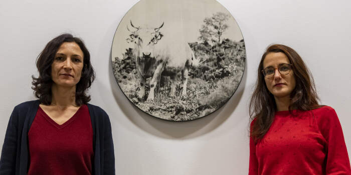 Öffentliche Führung in der Galerie Waidspeicher