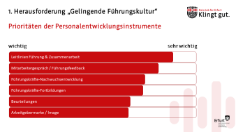 Diagramm Prioritäten der Personalentwicklungsinstrumente in Bezug auf „Gelingende Führungskultur“