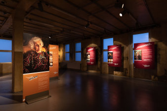 Mehrere Ausstellungstafeln stehen im Raum, an den Wänden hängen weitere Tafeln. 