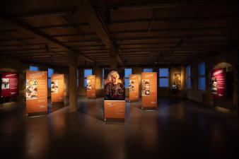 7 Ausstellungstafeln stehen im Raum, an den Wänden hängen weitere Tafeln. 