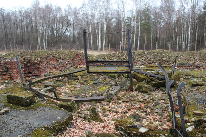 Auschwitz-Birkenau, Überreste eines Verbrennungsofens von Topf & Söhne, der von der SS vor ihrem Abzug 1945 gesprengt wurde, um Spuren zu verwischen. verbogene Metallstangen, mit Moos bewachsenes Geröll und eine zerstörte Mauer aus rotem Backstein.