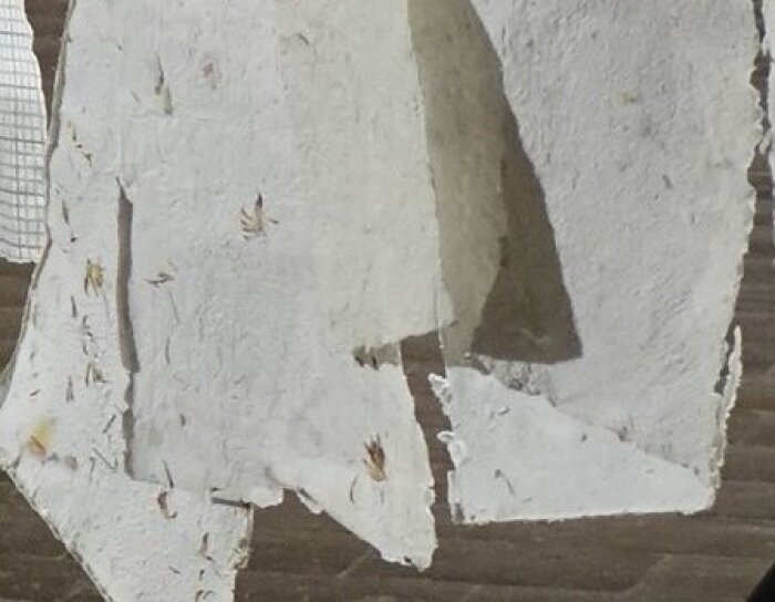 Rund ums Papier Geschöpftes Papier mit Klammern auf einer Leine