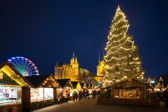 Die Weihnachtskrippe befindet sich in einer Holzhütte direkt neben dem großen beleuchteten Weihnachtsbaum