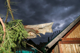 liegender Baum zwischen den Buden